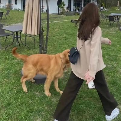 妖怪人贝姆